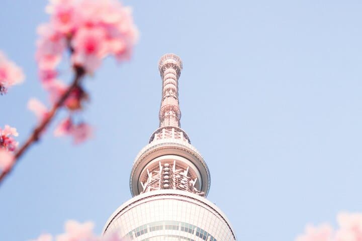 Tokyo, Hakone, Mt Fuji, and Nikko, 3 Day Private Tour — photo 17