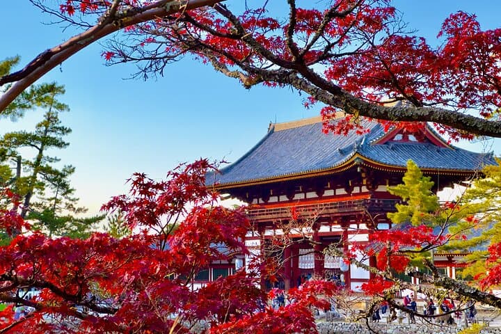 Osaka & Nara in 1-Day by Private Van with Local Expert Guide — photo 4