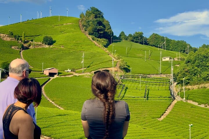 Scenic Green Tea Fields of Hidden Kyoto & Local Tea Exp (Private) — photo 16
