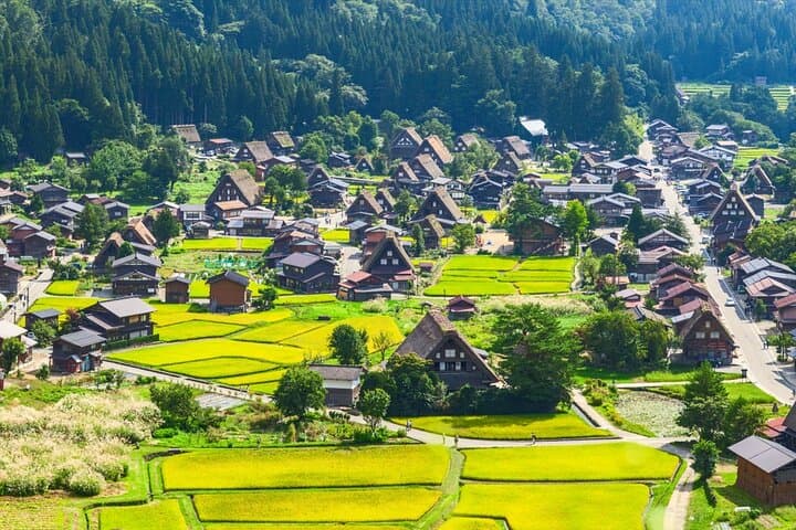 Hakone, Shirakawago, Kanazawa 4 Days Bus Tour from Tokyo to Kyoto — photo 13