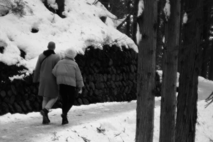 Nagano Snow Monkeys -Half day Private Tour — photo 8