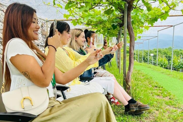 Private Wine Tasting Tour in Yamanashi Prefecture by Car — photo 1