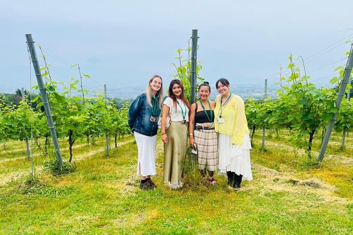 Private Wine Tasting Tour in Yamanashi Prefecture by Car — photo 2