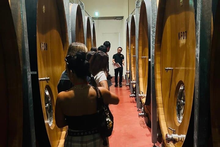 Private Wine Tasting Tour in Yamanashi Prefecture by Car — photo 6