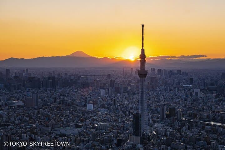 Tokyo Panoramic 1 Day: Meiji Shrine, Asakusa, Odaiba and SKYTREE® — photo 11
