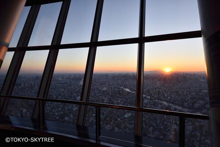 Tokyo Panoramic 1 Day: Meiji Shrine, Asakusa, Odaiba and SKYTREE® — photo 12
