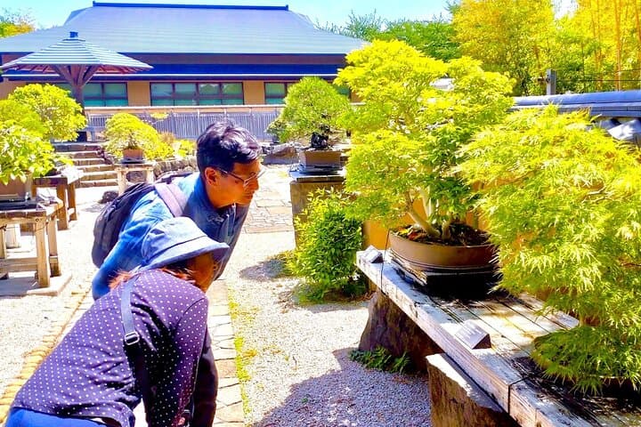 Bonsai Tour & Experience at the Most Sacred City for Bonsai in JP — photo 9