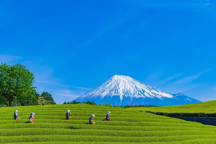 Mt. Fuji Highlight Photo Spots One Day Tour from Tokyo — photo 9