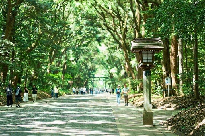 Tokyo: Meiji Shrine Walking Tour — Shintoism & Imperial System — photo 7