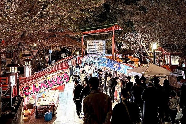 Gion Area Night Walking Private Tour ~Custom-made Tour~ — photo 1