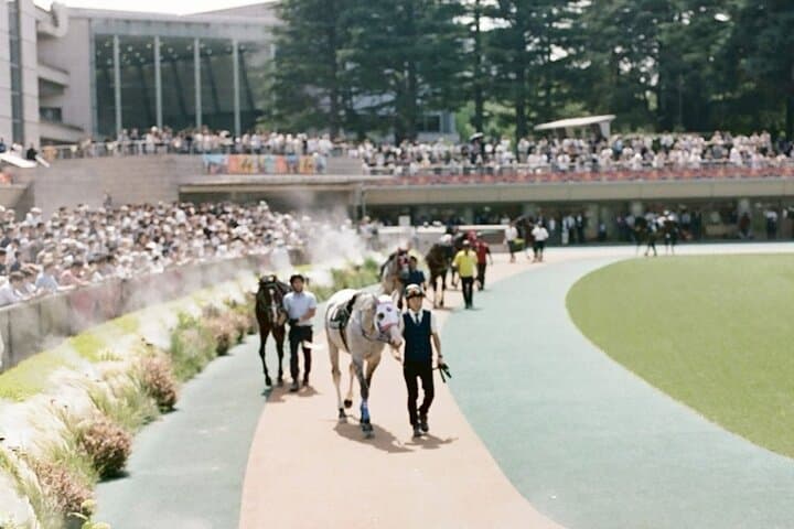 Horse Racing Tour with Local Fans in Tokyo, Oi Racecourse — photo 11