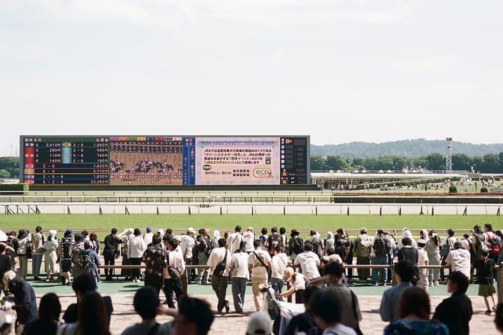 Horse Racing Tour with Local Fans in Tokyo, Oi Racecourse — photo 13