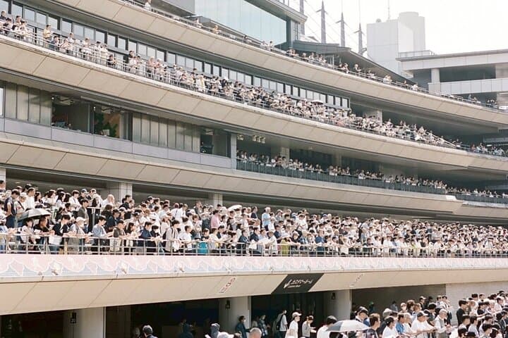 Horse Racing Tour with Local Fans in Tokyo, Oi Racecourse — photo 19
