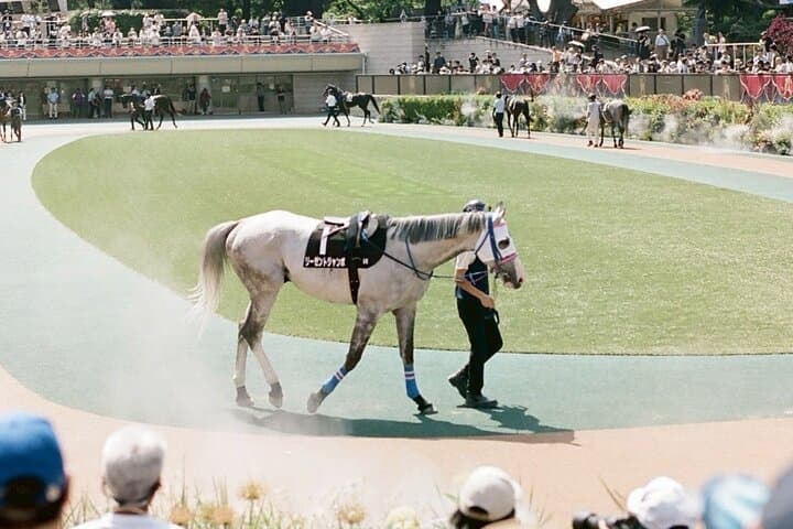 Horse Racing Tour with Local Fans in Tokyo, Oi Racecourse — photo 20