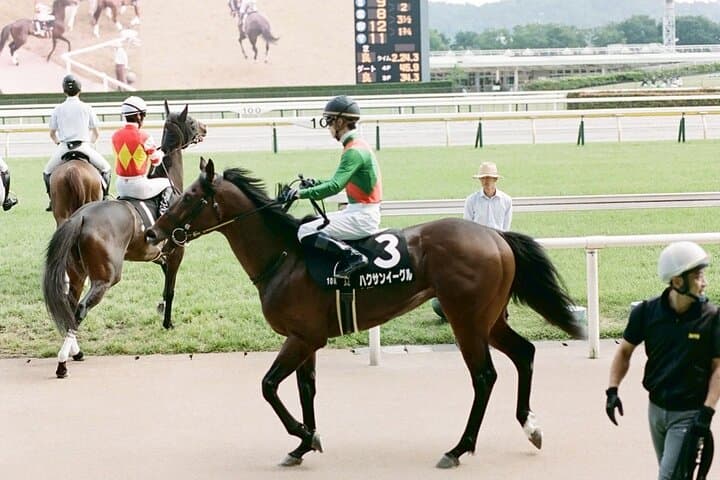 Horse Racing Tour with Local Fans in Tokyo Racecourse — photo 8
