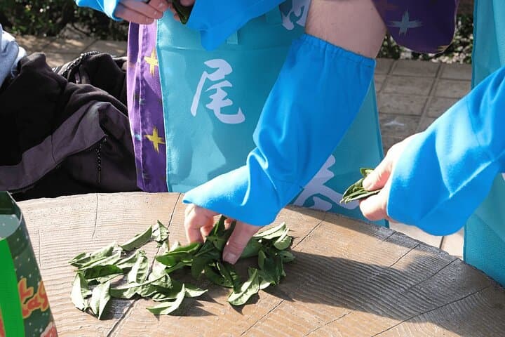 Unique Matcha Experience in Nishio: Matcha Tour and Matcha Making — photo 2