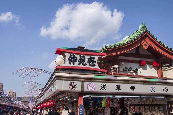 Tokyo:Meiji Shrine,Imperial Palace,Asakusa,Odaiba,cruise — photo 6