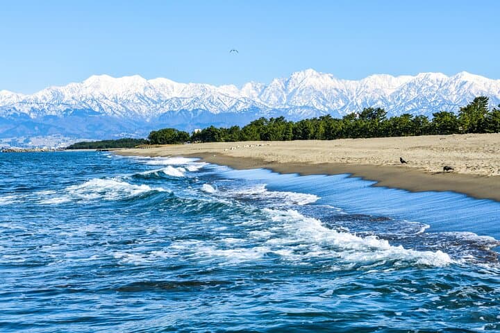 Toyama 6hr Private Tour with Government Licensed Guide — photo 8