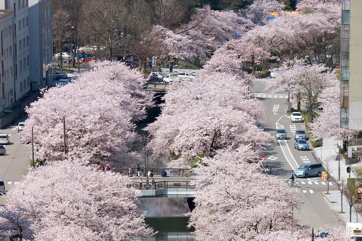 Toyama 6hr Private Tour with Government Licensed Guide — photo 11