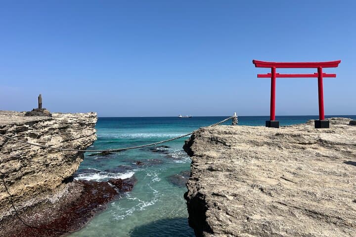 Ultimate View Izu Car Tour with Hotel Pickup and Local Guide — photo 2