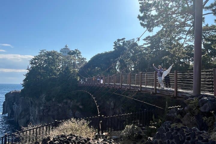 Ultimate View Izu Car Tour with Hotel Pickup and Local Guide — photo 8