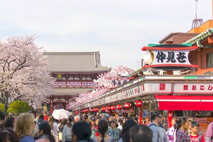 Half-Day Edo Tour with Asakusa Traditions, and Hidden History — photo 5