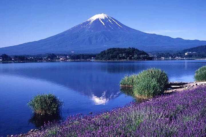 4 Day Private Japan Tour Tokyo Nikko Kamakura Mt Fuji Hakone — photo 12