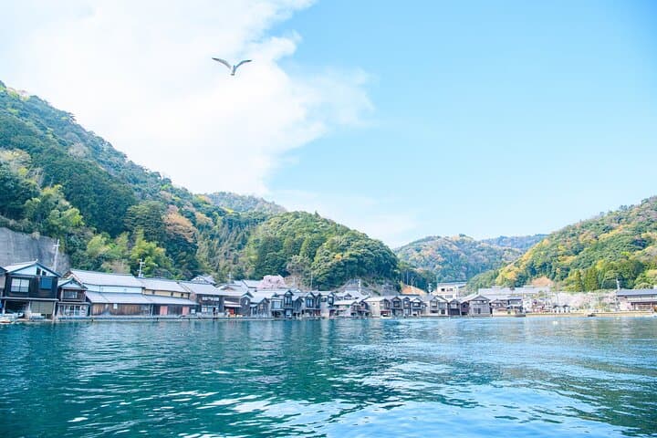 Ine and Amanohashidate Day Trip from Kyoto — photo 8