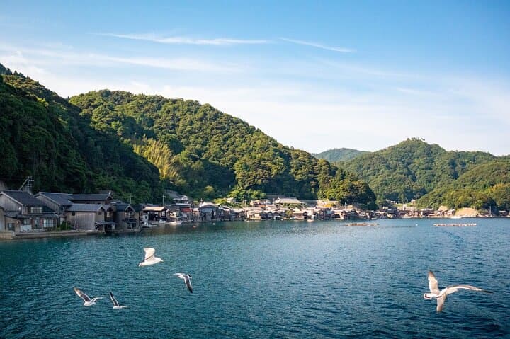 Ine and Amanohashidate Day Trip from Kyoto — photo 9