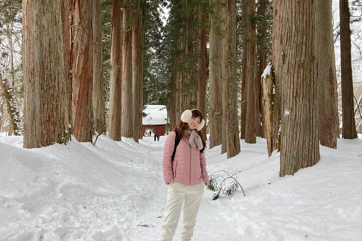 Nagano All Must-Sees 6hr Private Tour with Licensed Guide — photo 4
