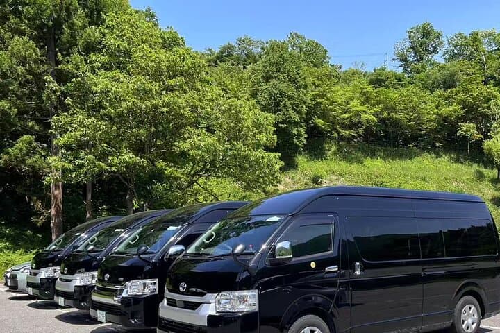 Tokyo Private Transfer Between Disneyland and Tokyo — photo 4