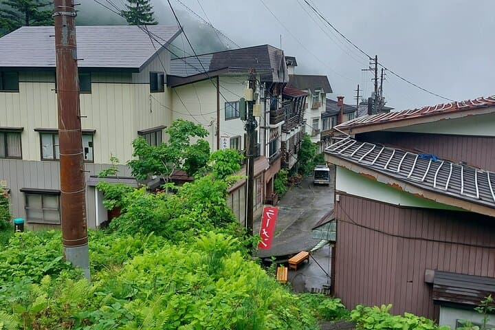 Tsubame Onsen & Lake Nojiri: Nature Walk and Lunch Tour — photo 9
