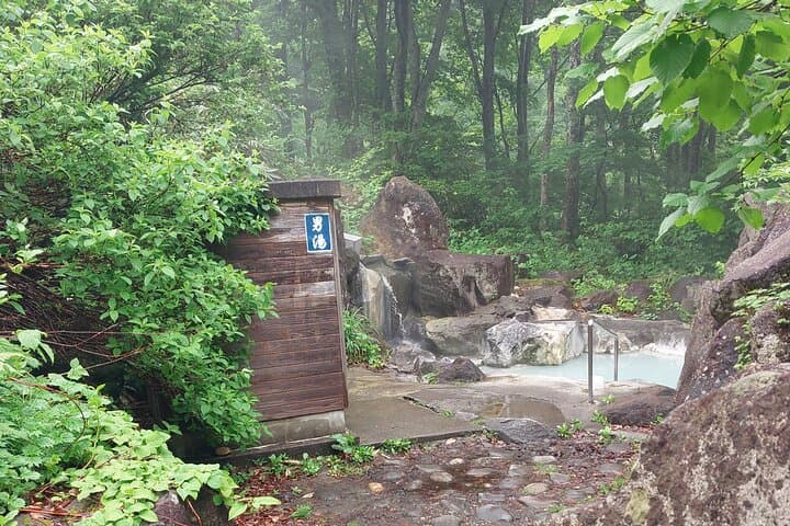 Tsubame Onsen & Lake Nojiri: Nature Walk and Lunch Tour — photo 4