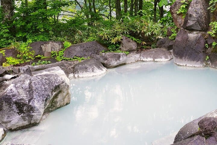 Tsubame Onsen & Lake Nojiri: Nature Walk and Lunch Tour — photo 3