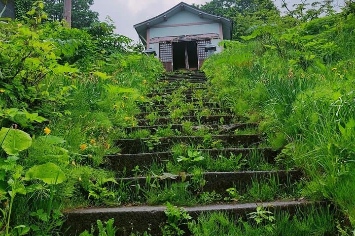 Tsubame Onsen & Lake Nojiri: Nature Walk and Lunch Tour — photo 5