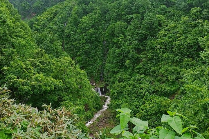Tsubame Onsen & Lake Nojiri: Nature Walk and Lunch Tour — photo 7