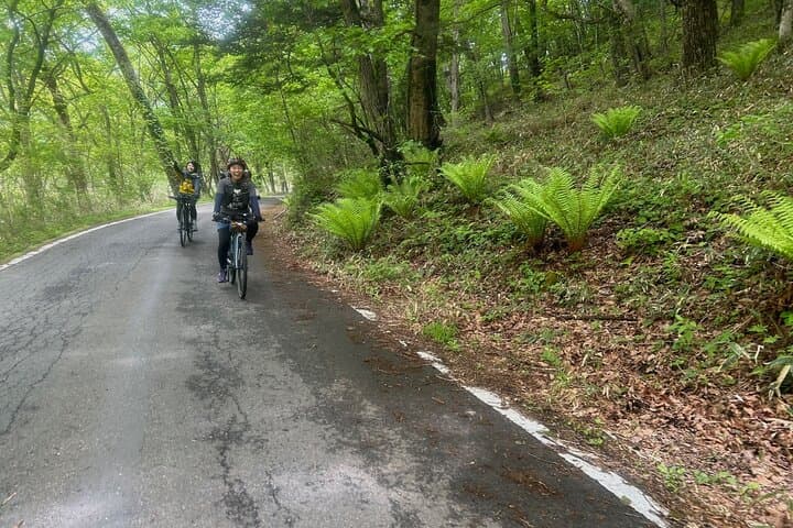 Nikko: Lake Chuzenji Scenic E-Bike & Hike Tour — photo 2