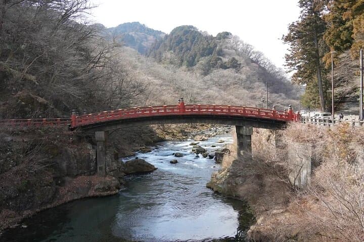 Nikko, Kegon Waterfall & Chuzenji Lake from Tokyo — photo 13