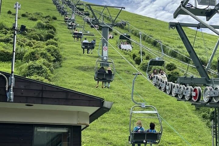 From Tokyo:Private One Day Tour to Izu — photo 6