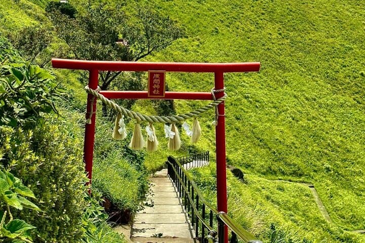 From Tokyo:Private One Day Tour to Izu — photo 11