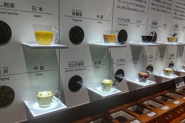 Tea Museum Shizuoka and Horaibashi Bridge Guided Tour — photo 5