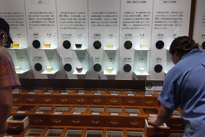 Tea Museum Shizuoka and Horaibashi Bridge Guided Tour-Van — photo 3