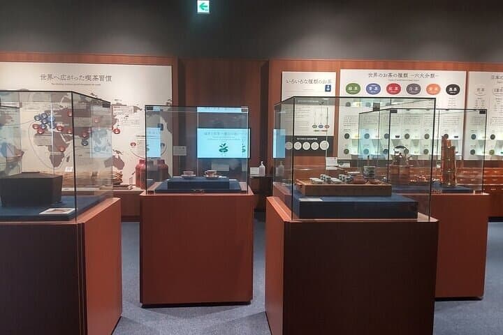 Tea Museum Shizuoka and Horaibashi Bridge Guided Tour — photo 3