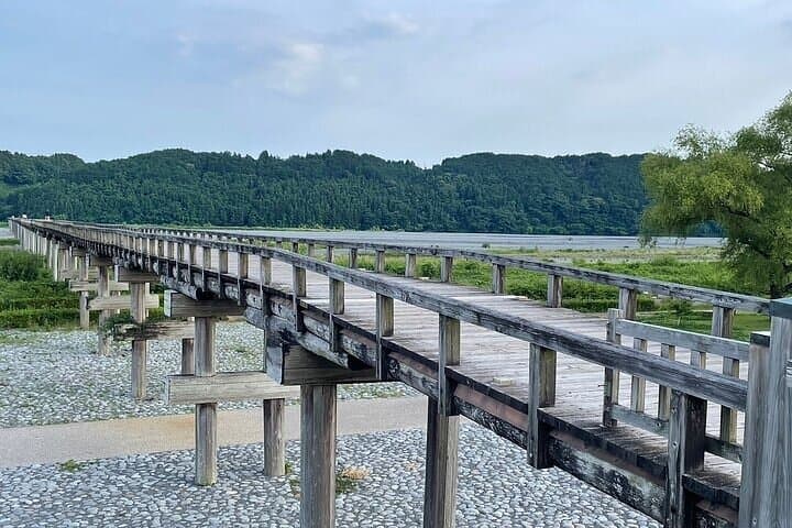 Tea Museum Shizuoka and Horaibashi Bridge Guided Tour — photo 12