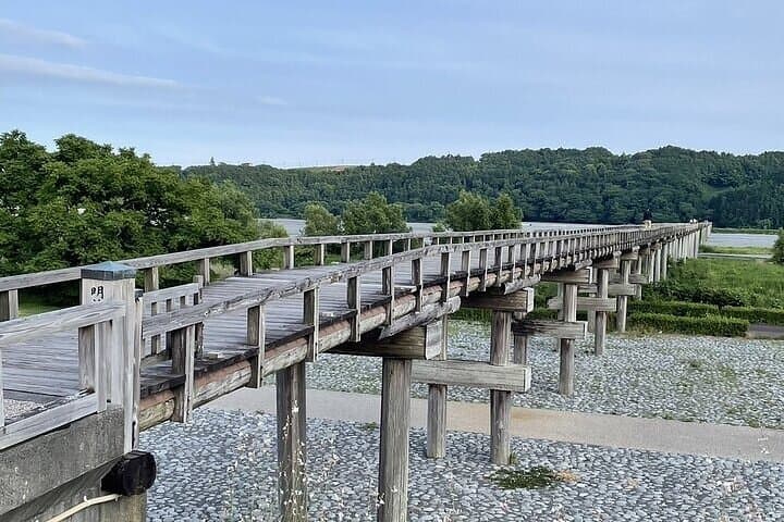Tea Museum Shizuoka and Horaibashi Bridge Guided Tour — photo 13