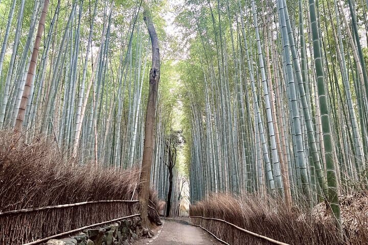 Bamboo Grove Temple and Garden Views Tour — photo 6