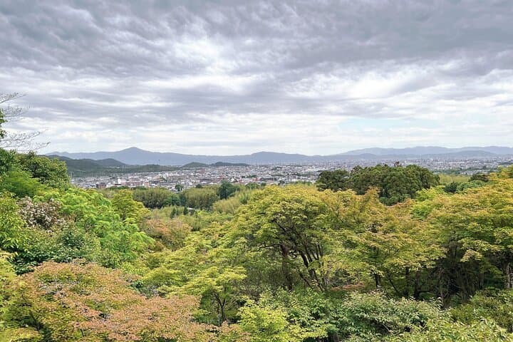 Bamboo Grove Temple and Garden Views Tour — photo 12