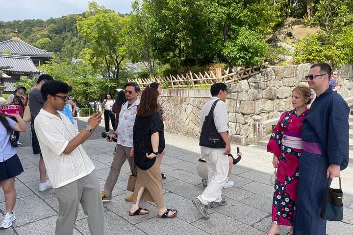 Private Kyoto Tour: Explore the Most Iconic Sights — photo 6