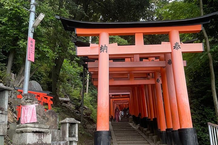 Private Kyoto Tour: Explore the Most Iconic Sights — photo 11
