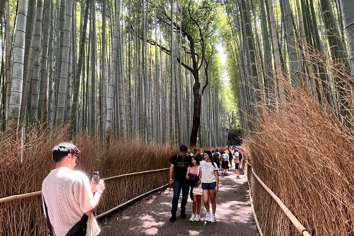Private Kyoto Tour: Explore the Most Iconic Sights — photo 12